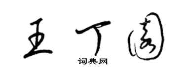 梁錦英王丁園草書個性簽名怎么寫