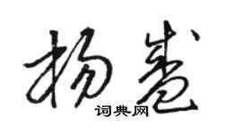 駱恆光楊盛草書個性簽名怎么寫