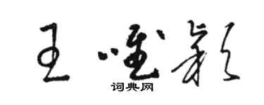 駱恆光王唯穎草書個性簽名怎么寫