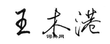 駱恆光王木港行書個性簽名怎么寫