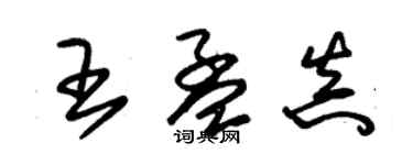 朱錫榮王孟真草書個性簽名怎么寫