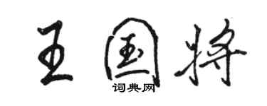 駱恆光王國將行書個性簽名怎么寫