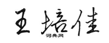 駱恆光王培佳行書個性簽名怎么寫