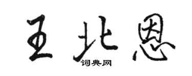 駱恆光王北恩行書個性簽名怎么寫