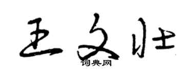 曾慶福王文壯草書個性簽名怎么寫