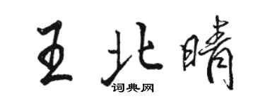 駱恆光王北晴行書個性簽名怎么寫