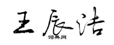 曾慶福王辰潔行書個性簽名怎么寫