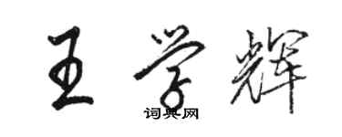 駱恆光王學輝行書個性簽名怎么寫