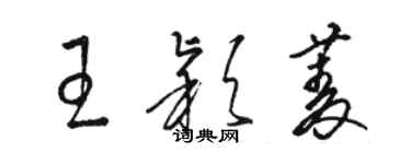 駱恆光王穎菱草書個性簽名怎么寫