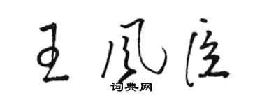 駱恆光王風臣草書個性簽名怎么寫