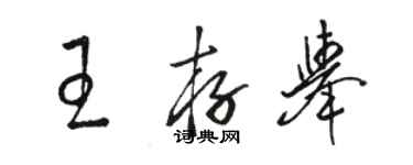 駱恆光王存舉草書個性簽名怎么寫