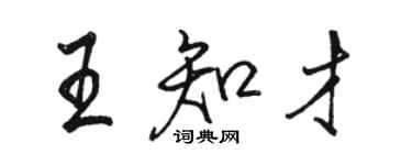 駱恆光王知才行書個性簽名怎么寫