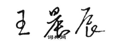 駱恆光王晨辰草書個性簽名怎么寫