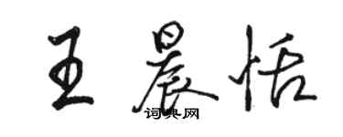 駱恆光王晨恬行書個性簽名怎么寫