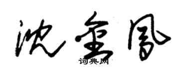 朱錫榮沈金鳳草書個性簽名怎么寫