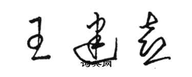 駱恆光王建喜草書個性簽名怎么寫