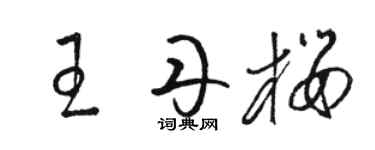 駱恆光王丹櫻草書個性簽名怎么寫