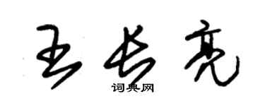 朱錫榮王長亮草書個性簽名怎么寫