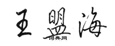 駱恆光王盟海行書個性簽名怎么寫