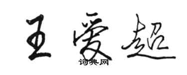 駱恆光王愛超行書個性簽名怎么寫