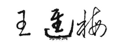 駱恆光王進梅草書個性簽名怎么寫