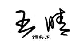 朱錫榮王晴草書個性簽名怎么寫