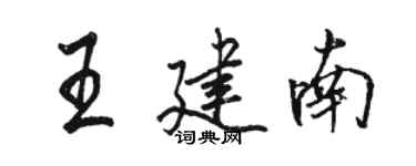 駱恆光王建南行書個性簽名怎么寫