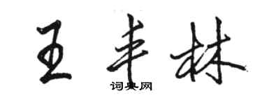 駱恆光王豐林行書個性簽名怎么寫