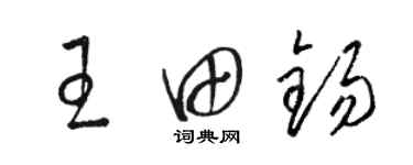 駱恆光王田錫草書個性簽名怎么寫