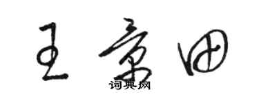 駱恆光王景田草書個性簽名怎么寫