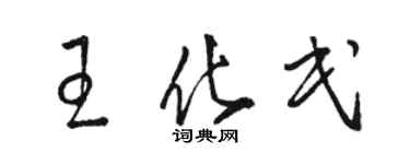 駱恆光王化民草書個性簽名怎么寫