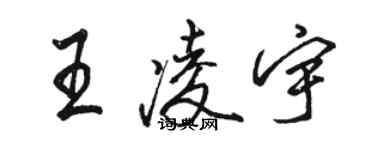 駱恆光王凌宇行書個性簽名怎么寫