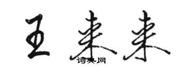 駱恆光王來來行書個性簽名怎么寫