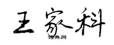 曾慶福王家科行書個性簽名怎么寫