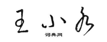 駱恆光王小水草書個性簽名怎么寫