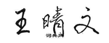 駱恆光王晴文行書個性簽名怎么寫