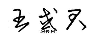 朱錫榮王或君草書個性簽名怎么寫