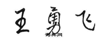 駱恆光王勇飛行書個性簽名怎么寫