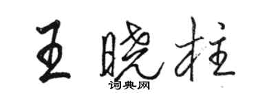 駱恆光王曉柱行書個性簽名怎么寫
