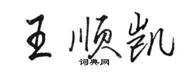 駱恆光王順凱行書個性簽名怎么寫