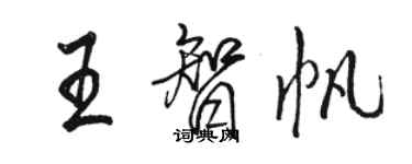 駱恆光王智帆行書個性簽名怎么寫