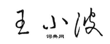 駱恆光王小波草書個性簽名怎么寫