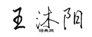 駱恆光王沐陽行書個性簽名怎么寫