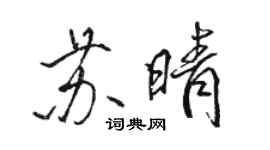 駱恆光蘇晴行書個性簽名怎么寫