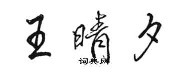 駱恆光王晴夕行書個性簽名怎么寫