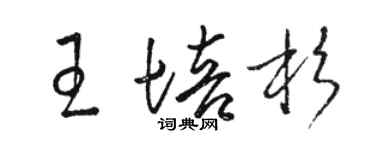 駱恆光王培杉草書個性簽名怎么寫