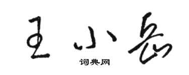 駱恆光王小岳草書個性簽名怎么寫