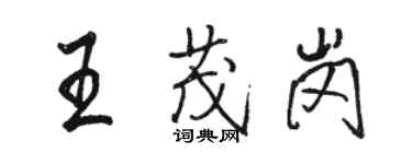 駱恆光王茂崗行書個性簽名怎么寫