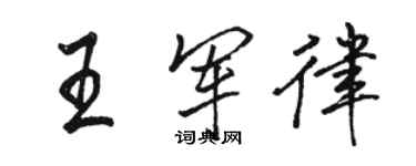 駱恆光王軍律行書個性簽名怎么寫