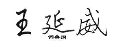 駱恆光王延威行書個性簽名怎么寫